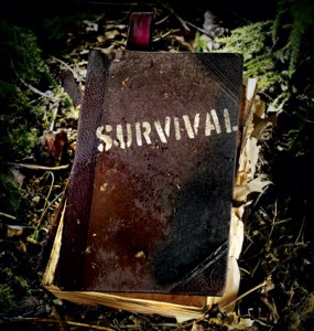 survival-425