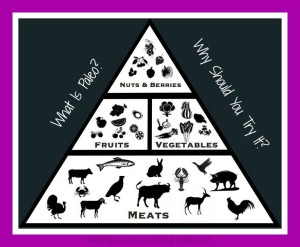 paleo-food-pyramid Cover