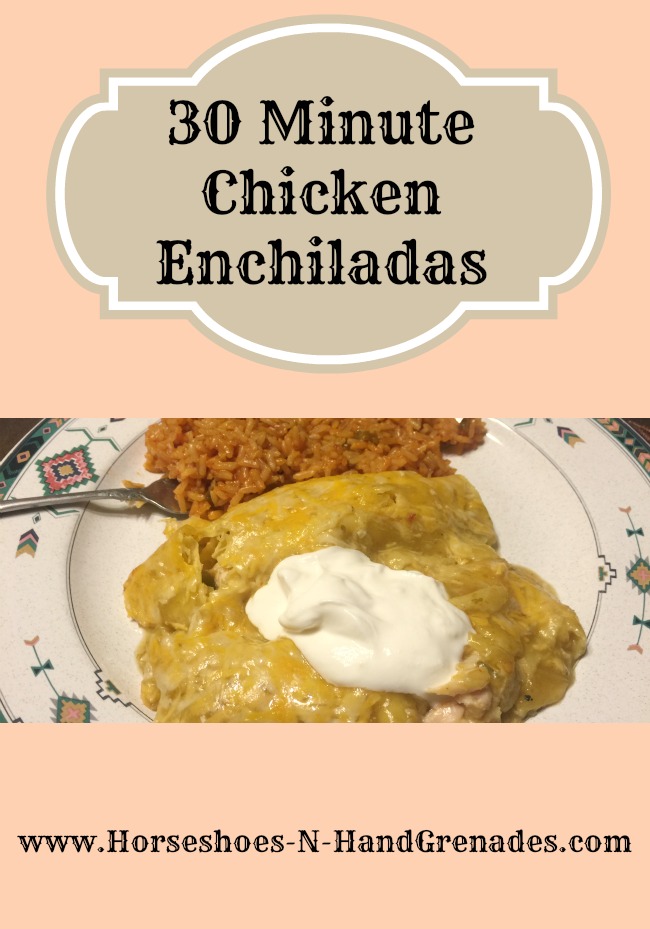 30-minute-chicken-enchiladas