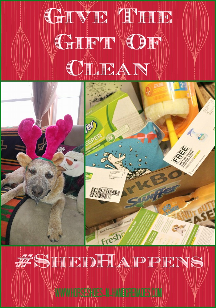 Give-the-gift-of-clean