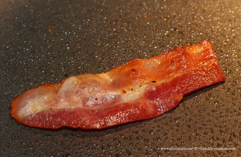IP 2 Bacon In Pan